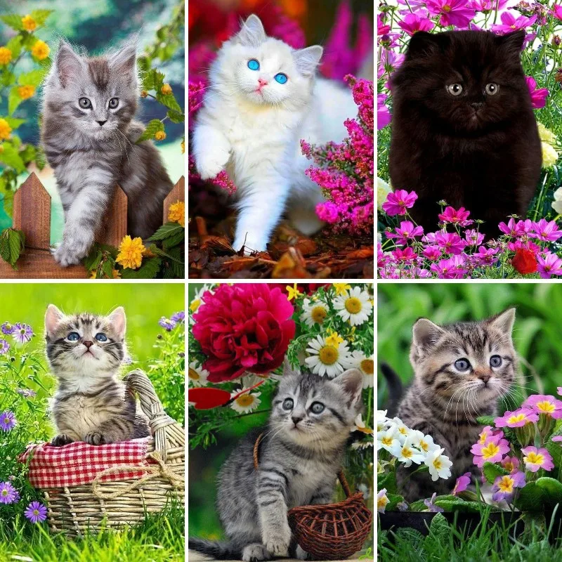 DIY 5D Diamond Painting Kits B - Resin Art Wallpaper recensie en prijs